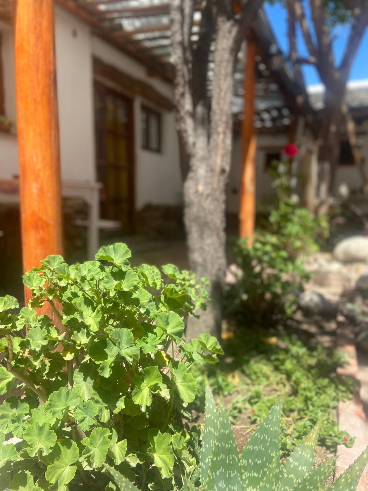 Hostal Tierra Andina Cafayate Exterior photo